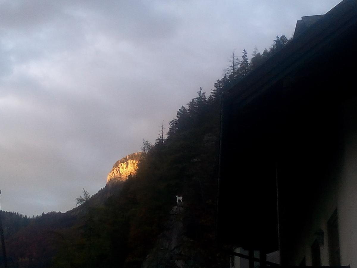 Gasthof-Pension Frohnwies Weissbach bei Lofer Exterior foto